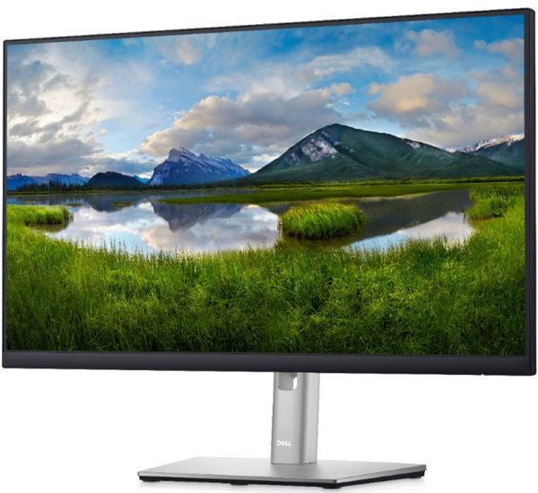DELL 24in monitor P2422H Professional IPS FHD 1920X1080 DP,HDMI,Tilt, Podesivost Po Visini, Pivot, Swivel