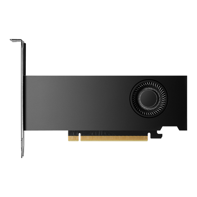 PNY NVIDIA RTX 2000 Ada Generation 16GB — fotografija proizvoda 2